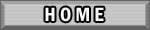 home button